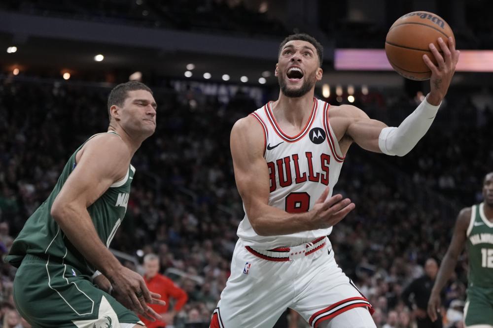 崽在大赛中 崽在大赛中